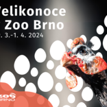 O víkendu přivítáme v Zoo Brno Velikonoce